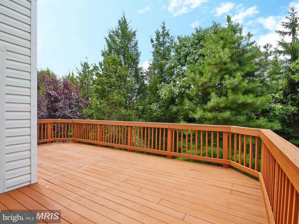 13591 CEDAR RUN LANE