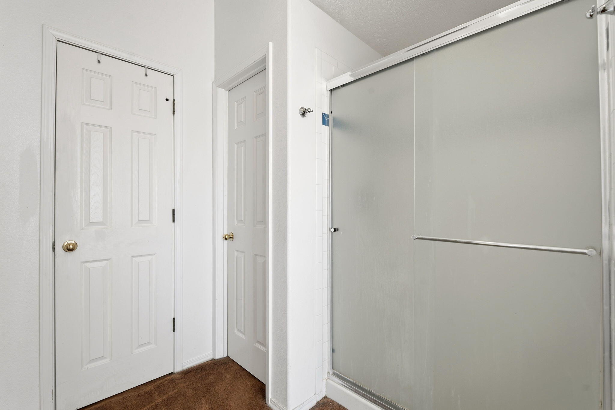 Bathroom with a frosted-glass sliding shower enclosure and white paneled doors.