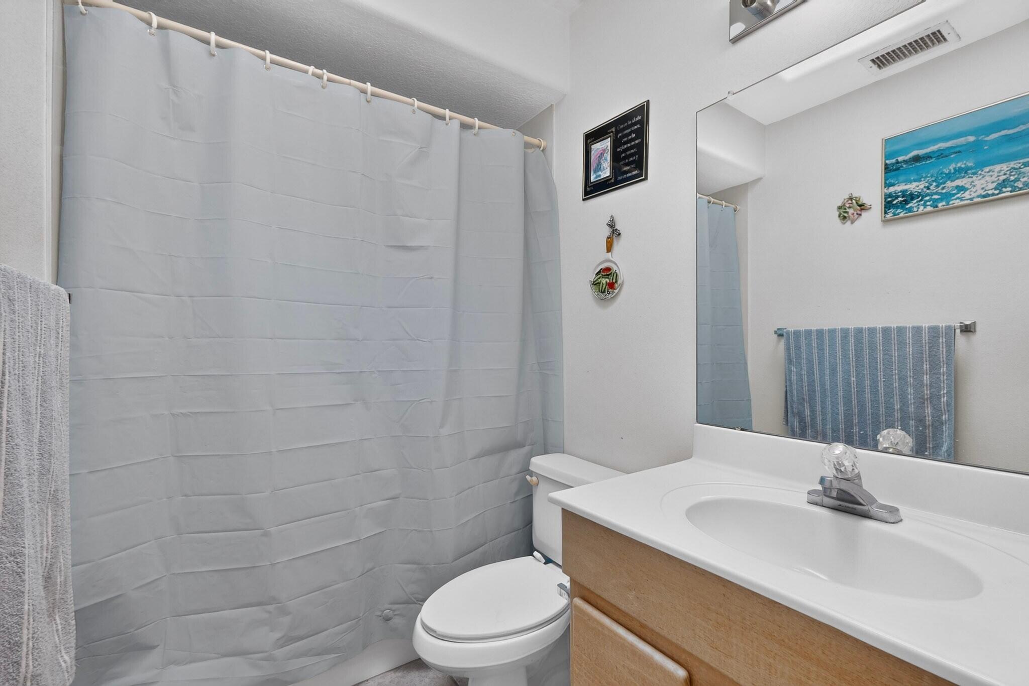Bathroom with a white shower curtain, toilet, wood-tone vanity, and large mirror.
