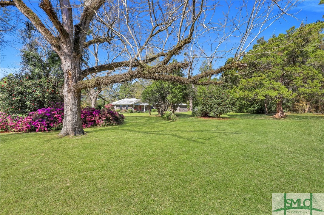 1250 Pless Clifton Road