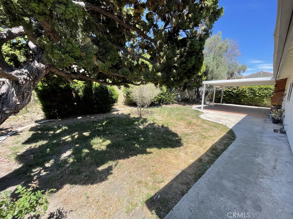 9269 Caladium Avenue