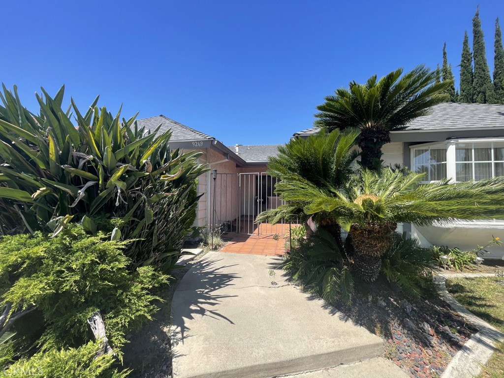 9269 Caladium Avenue