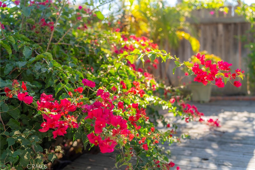 28276 Rancho Cristiano