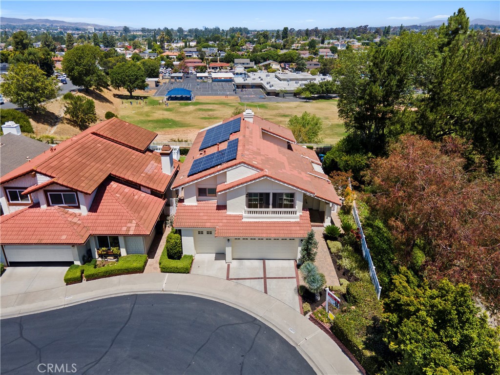 24511 Venus