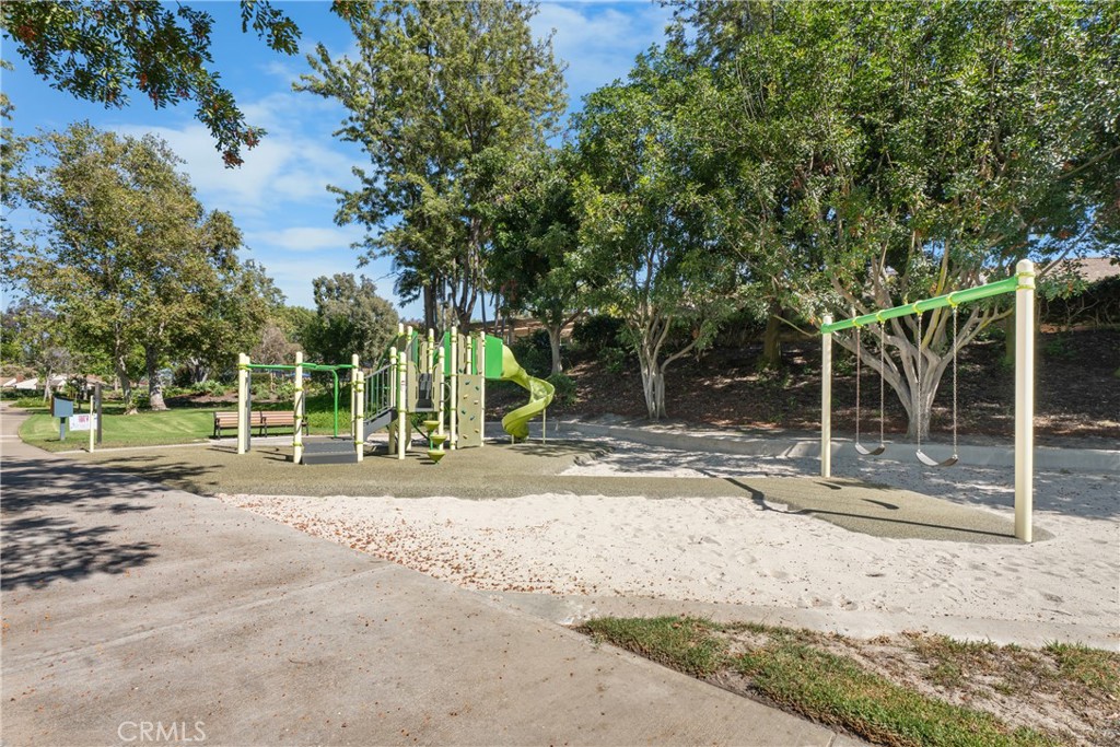 6 Eucalyptus
