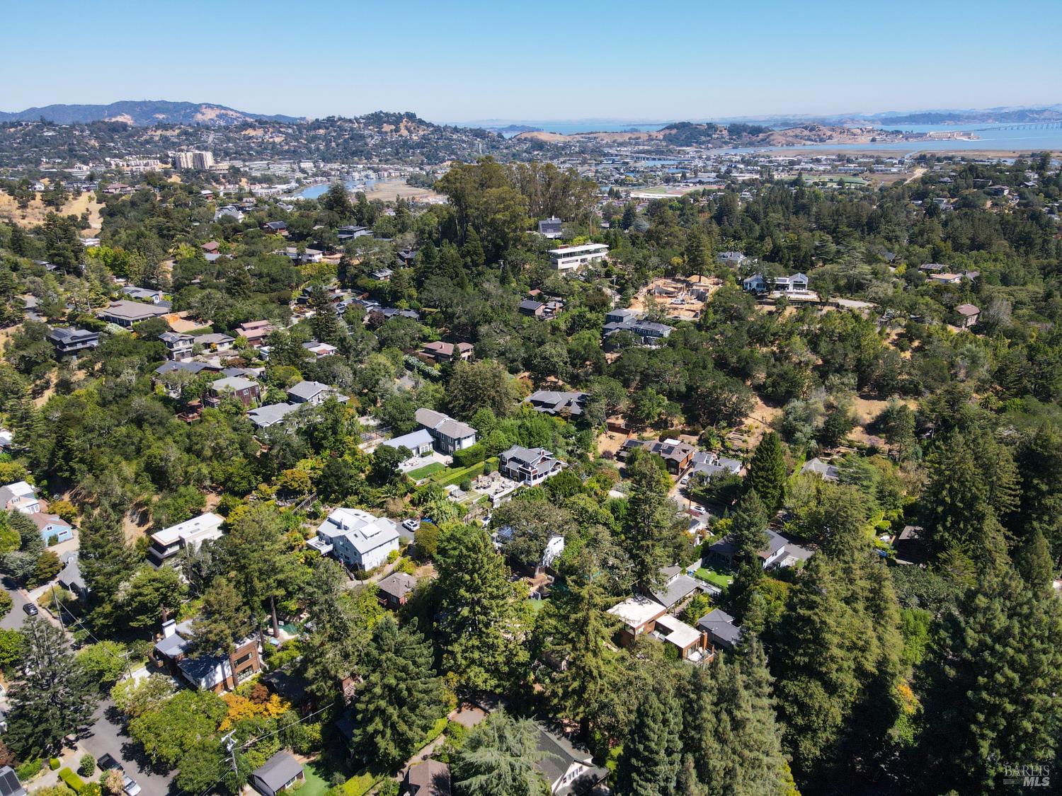 207 Madrone Avenue