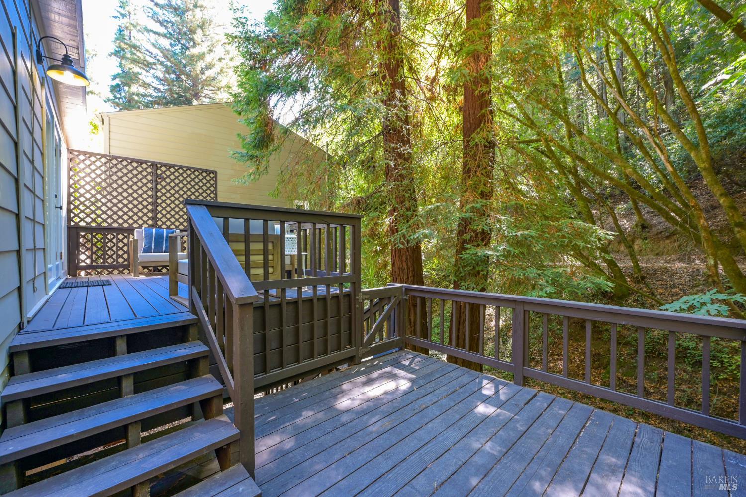 207 Madrone Avenue