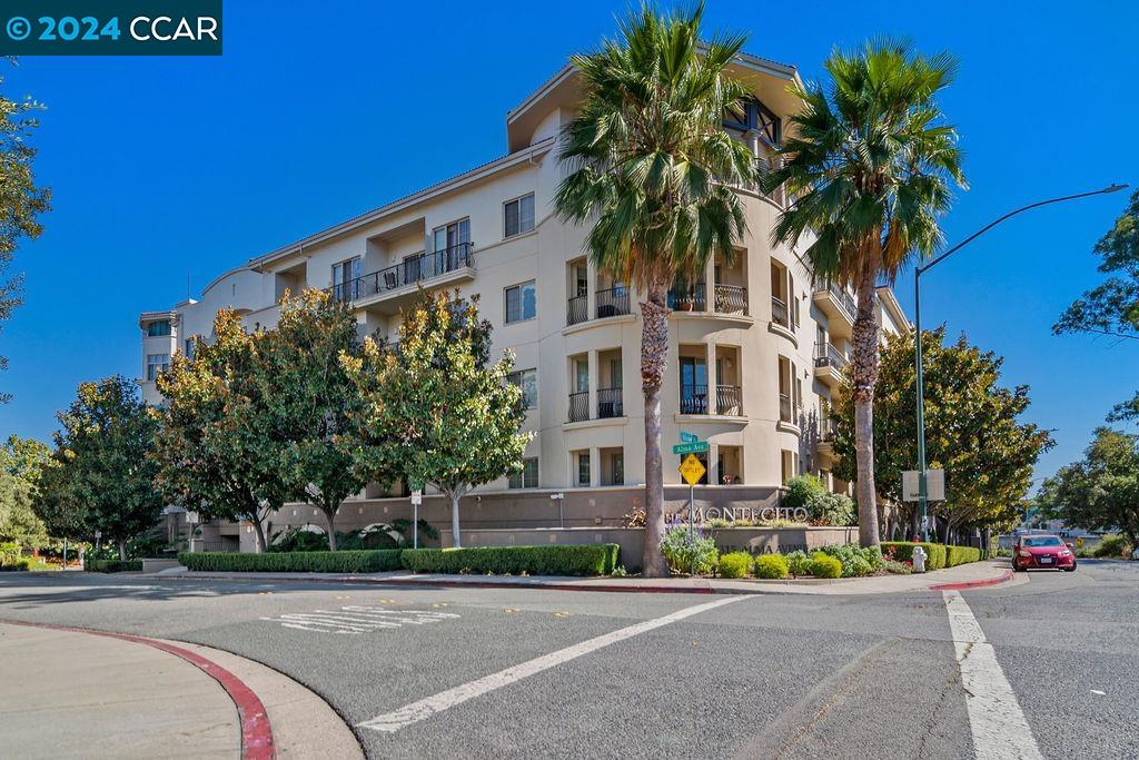 1315 Alma Ave # 251