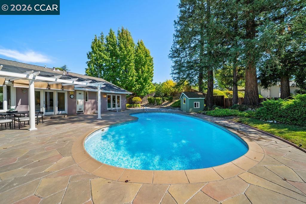 Backyard swimming pool beside a broad stone patio, white pergola, mature trees, and a small green shed.