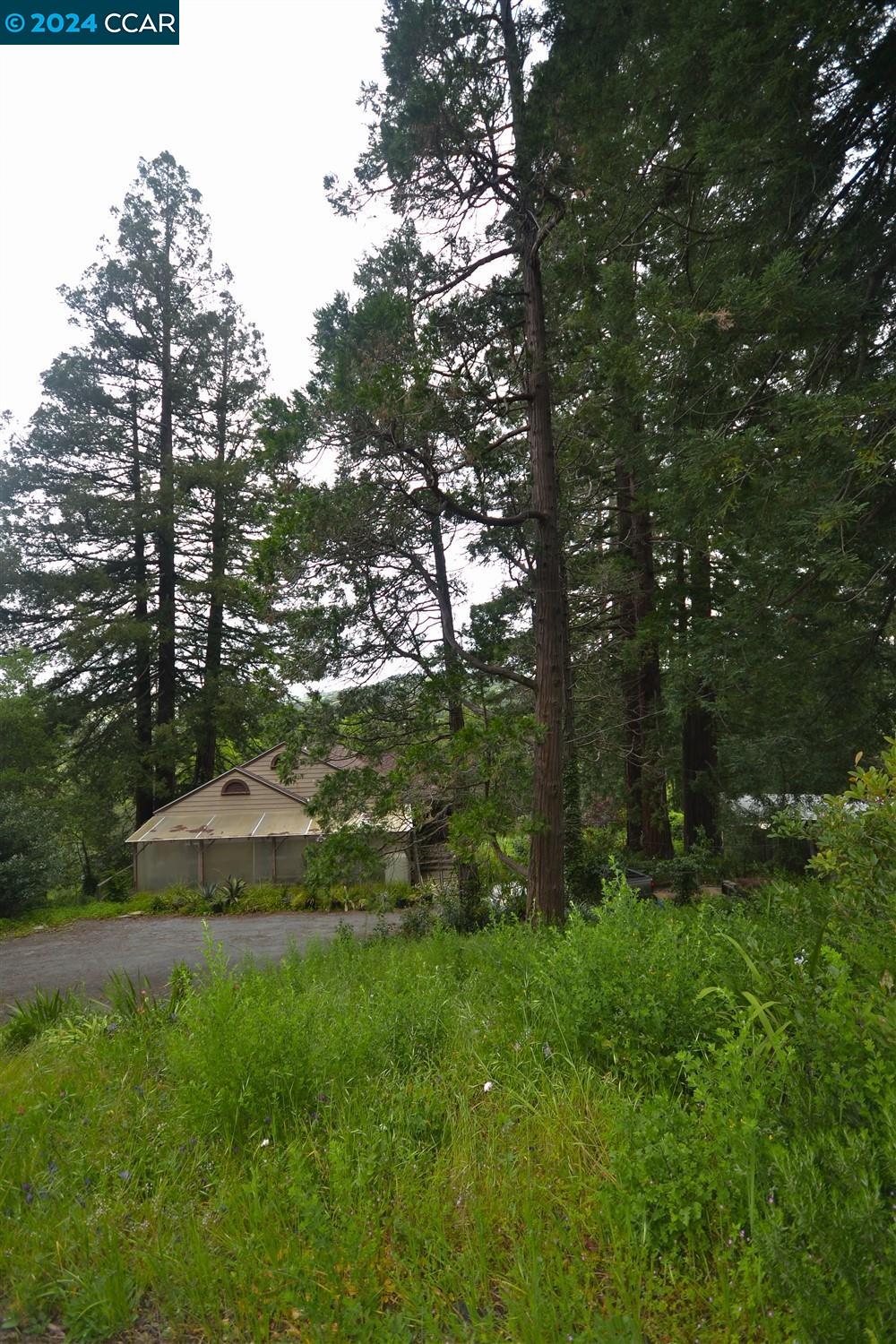 166 Canon Dr