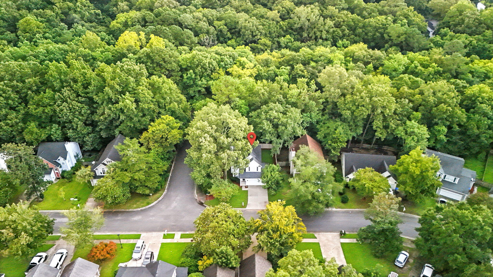 1946 Treebark Drive