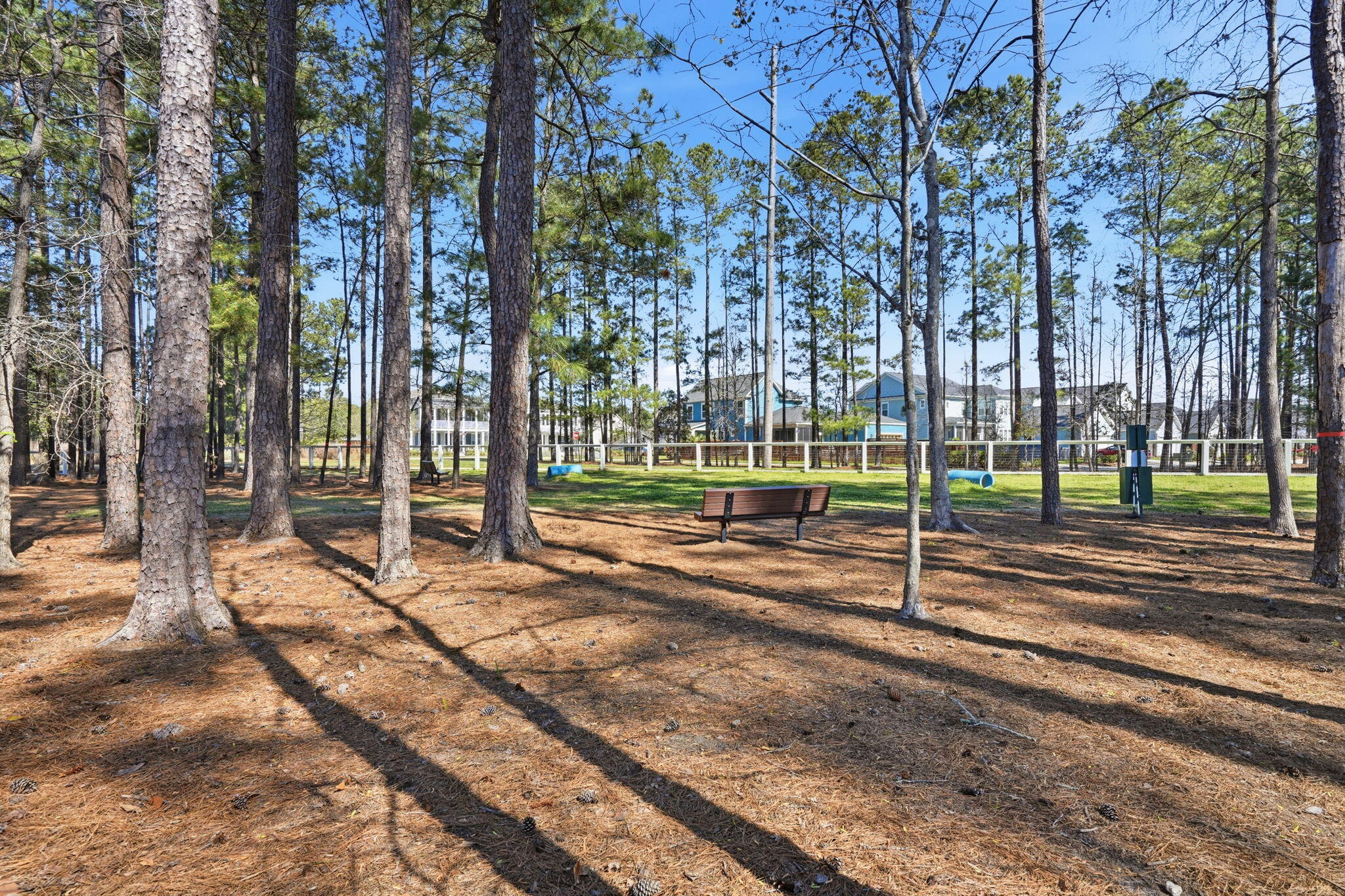 609 Heartwood Lane