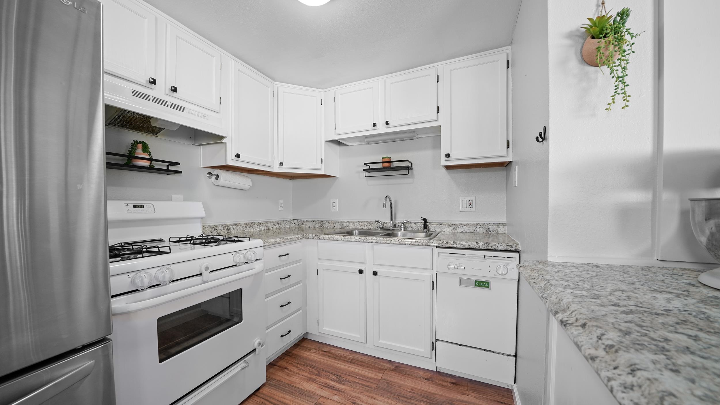 295 1/2 Mountain View Street