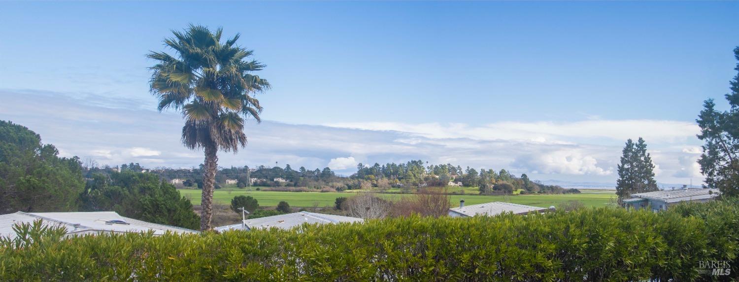 10 Fallen Leaf Drive