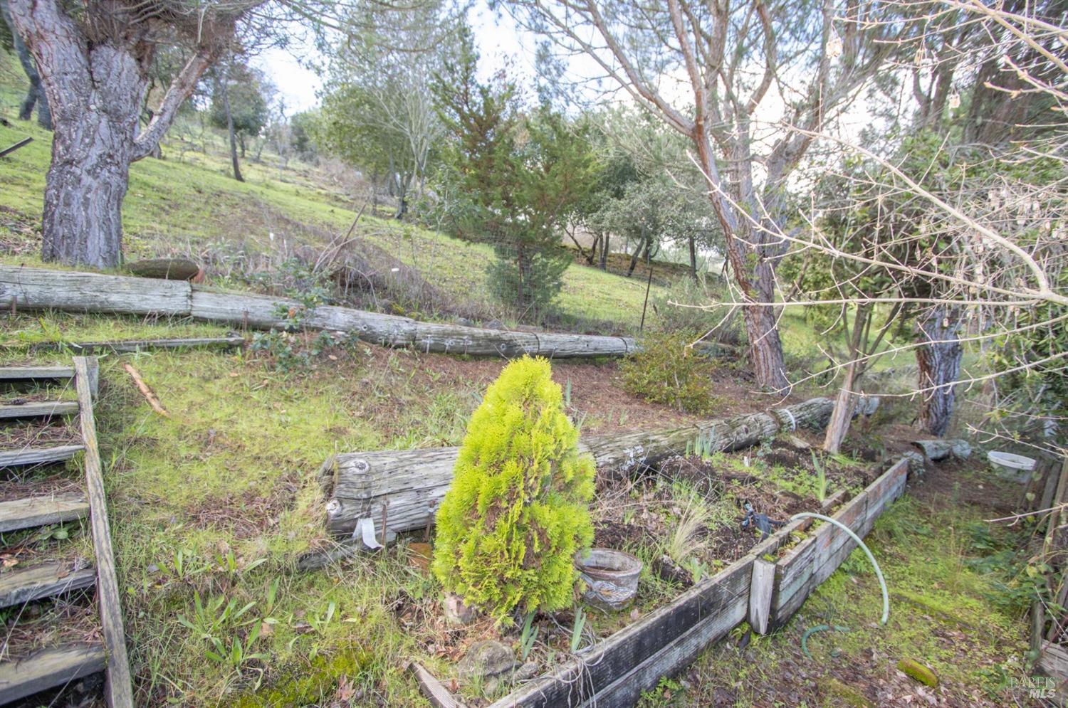 10 Fallen Leaf Drive