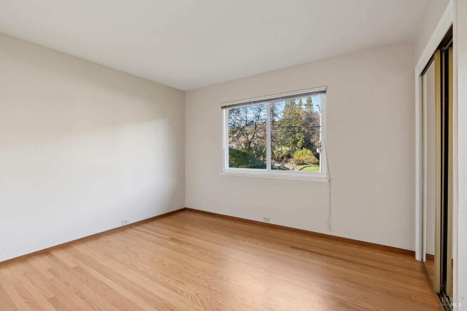 561 Olive Avenue