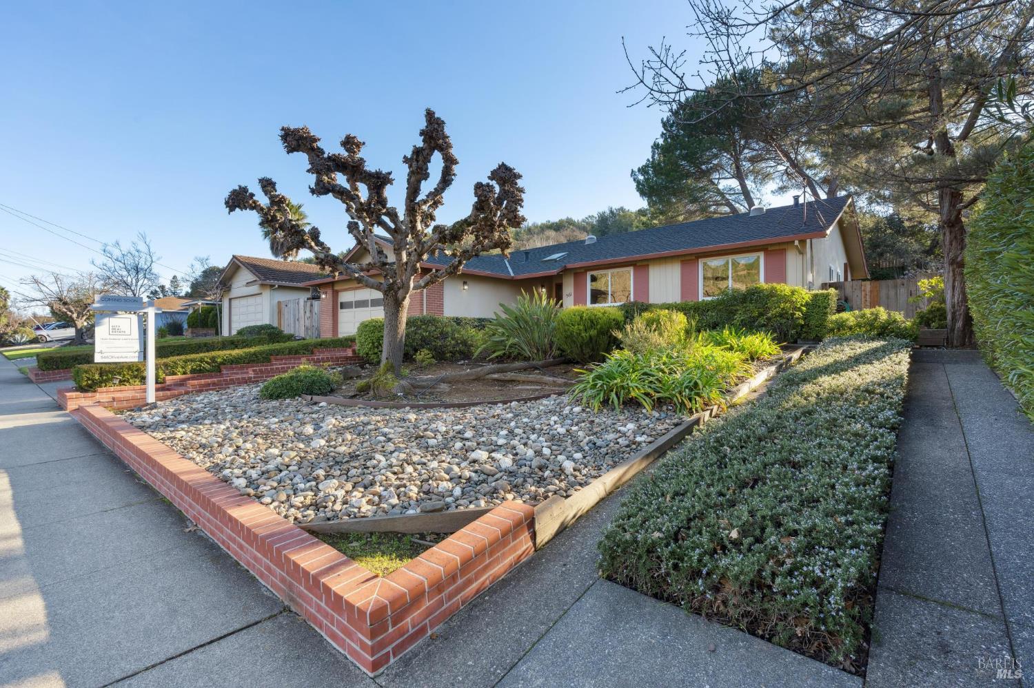 561 Olive Avenue