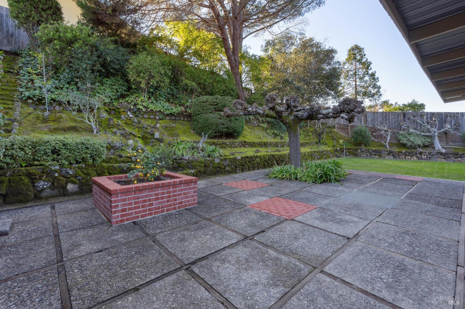 561 Olive Avenue
