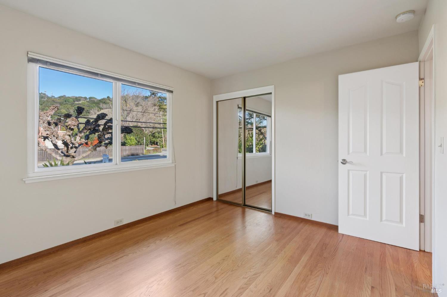 561 Olive Avenue
