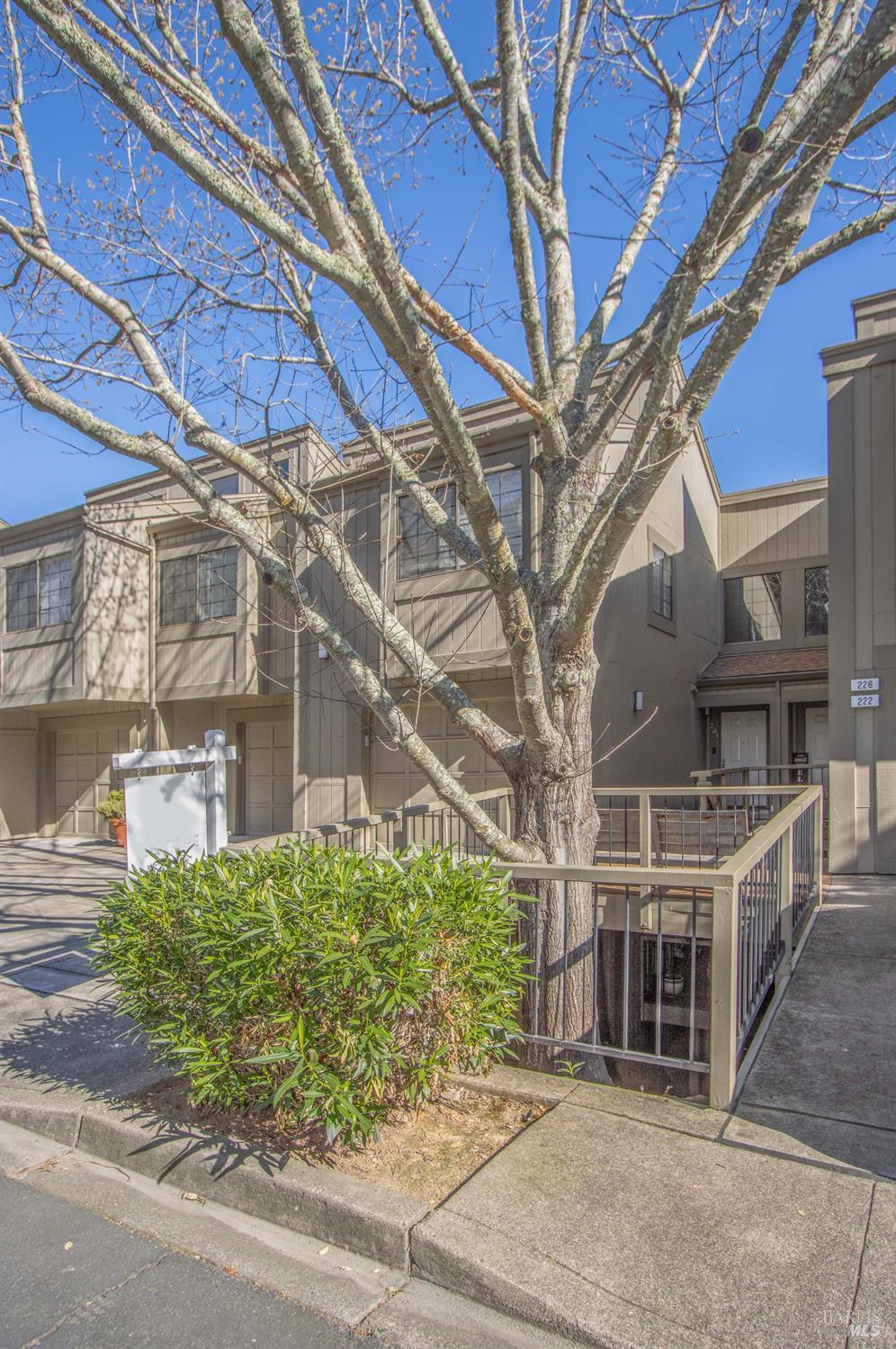 230 Pelican Lane