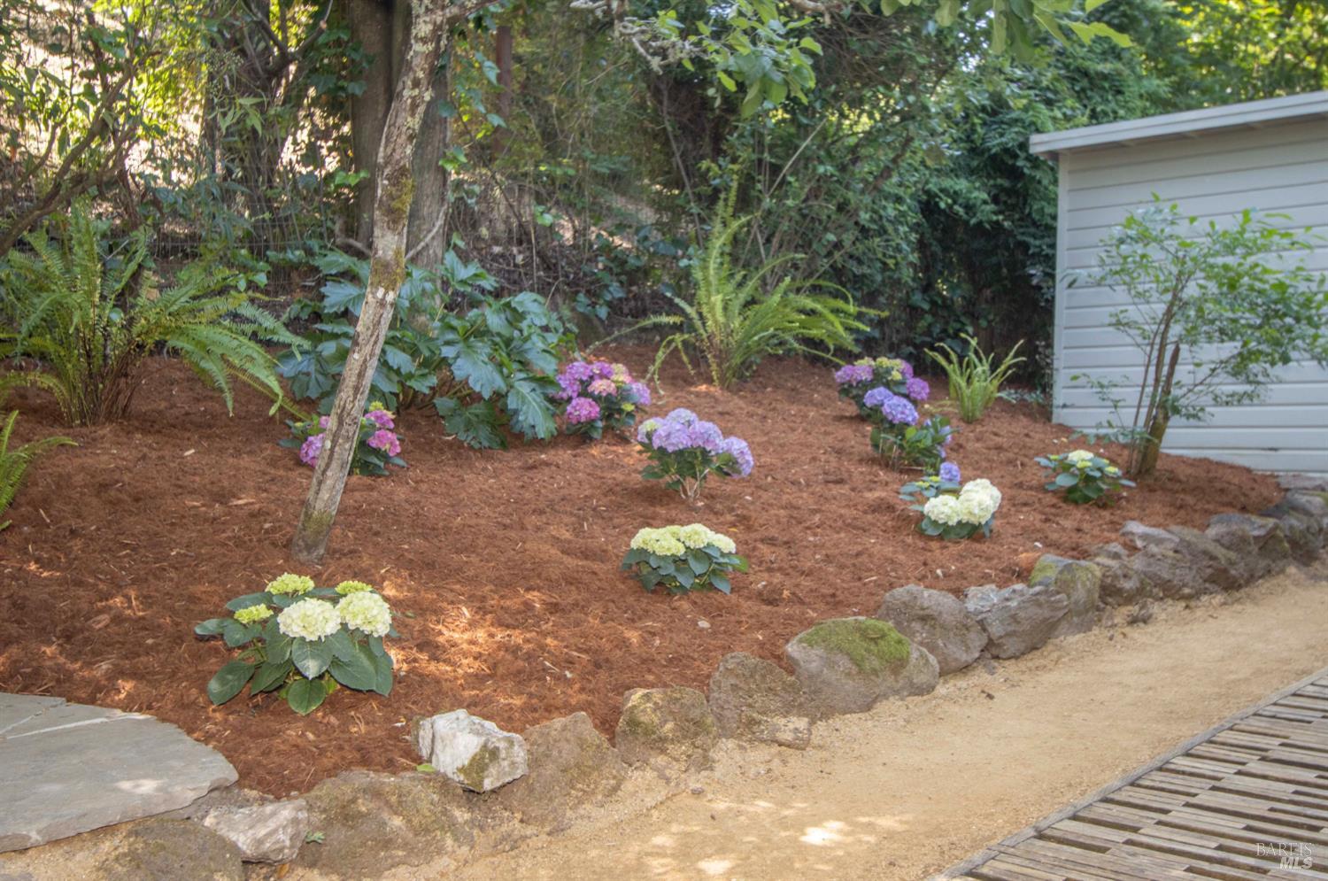 101 Bolinas Avenue