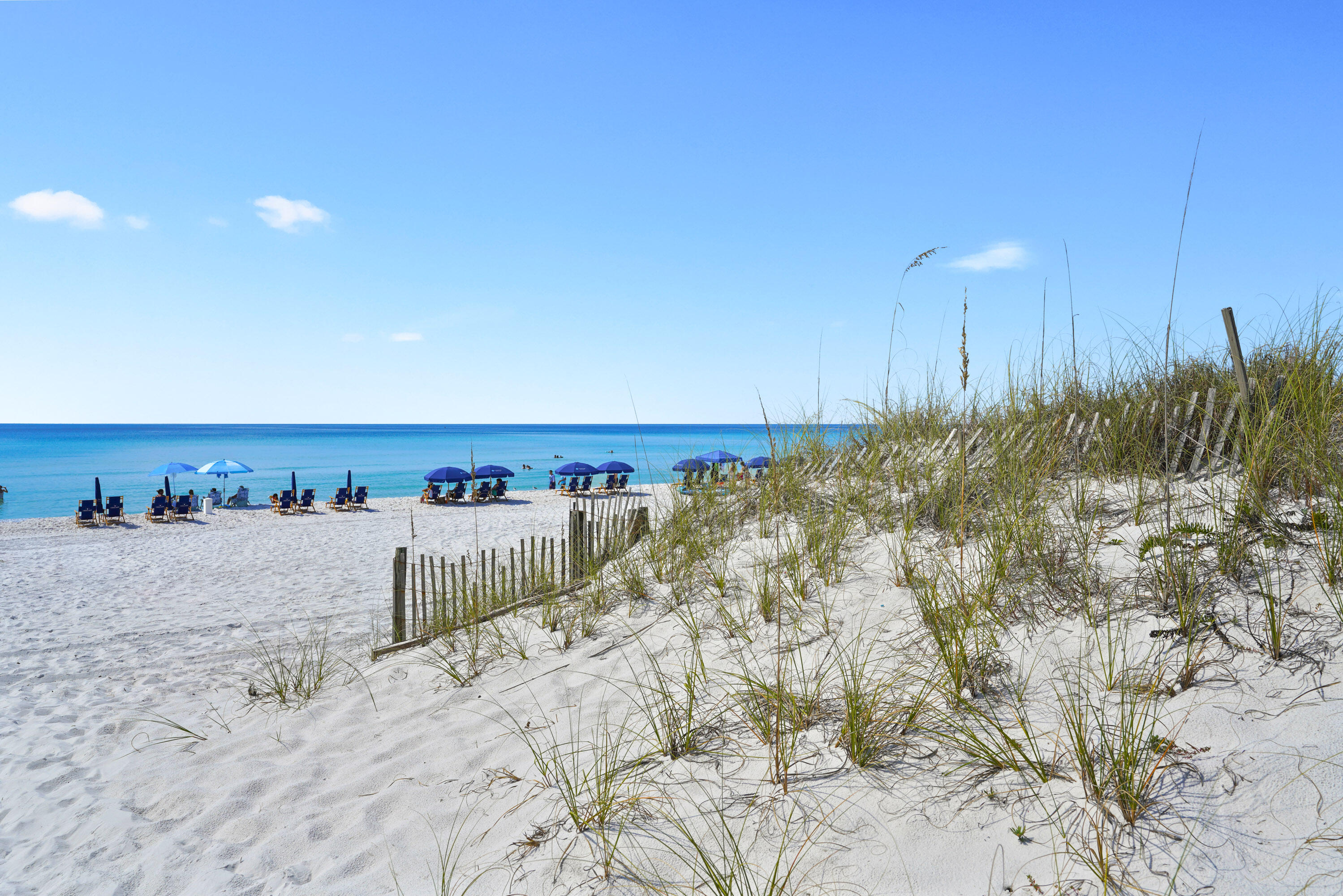 White-sand beach with dune grass, turquoise water, and rows of beach umbrellas.