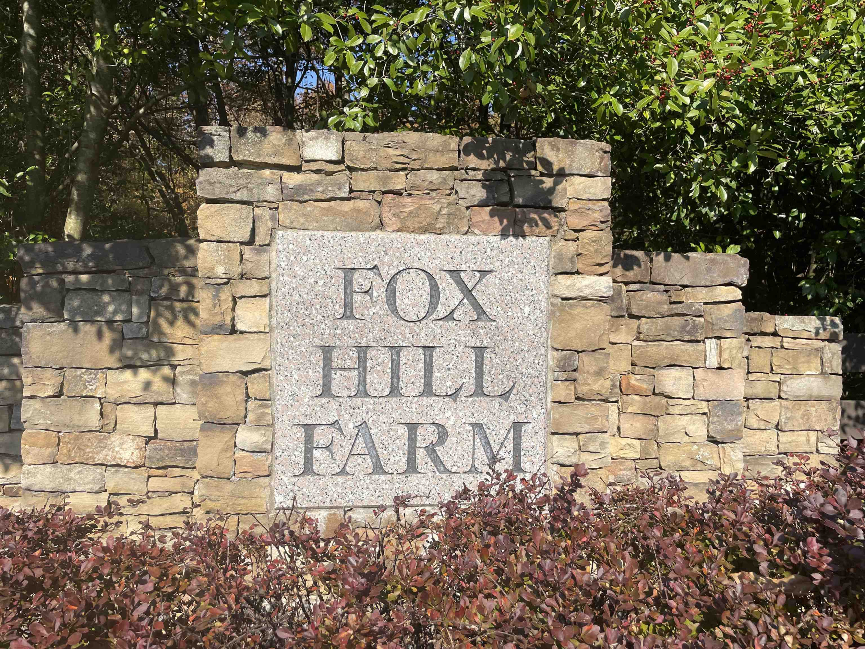 1621 Spring Lily Lane