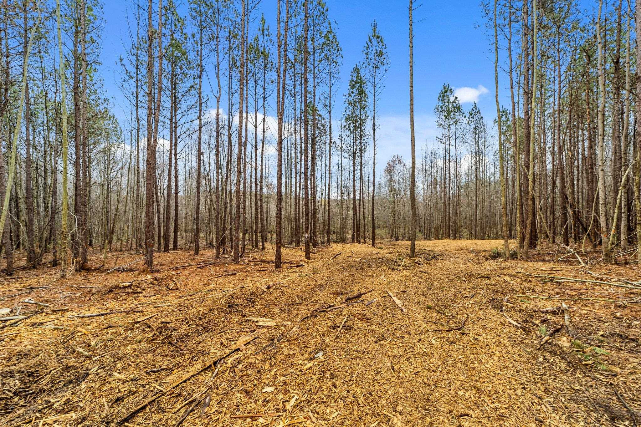 3100 Knotts Grove Road