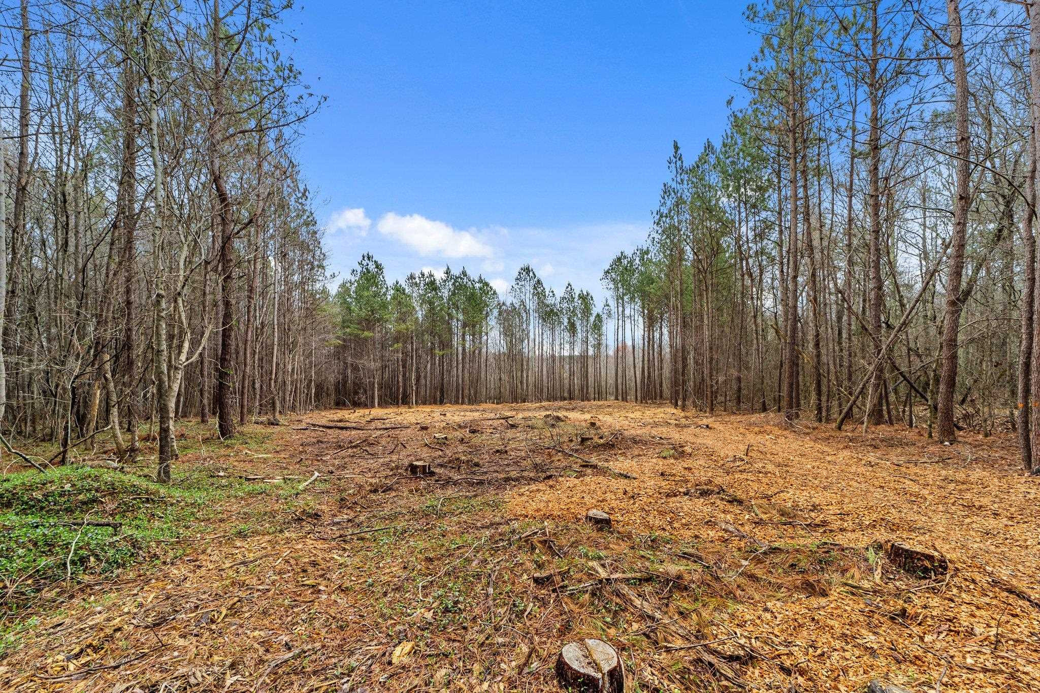 3100 Knotts Grove Road