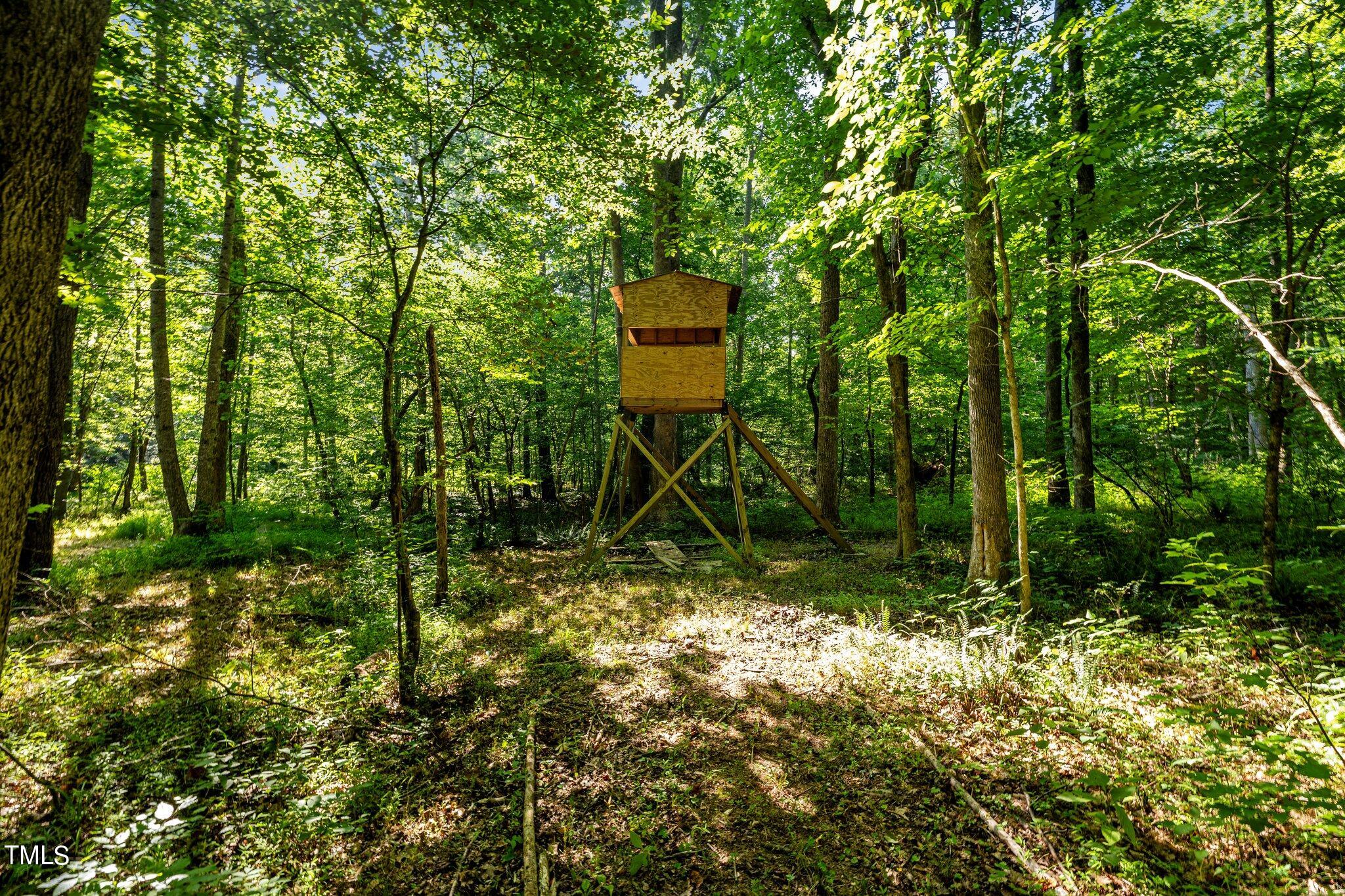 2203 Bane Road