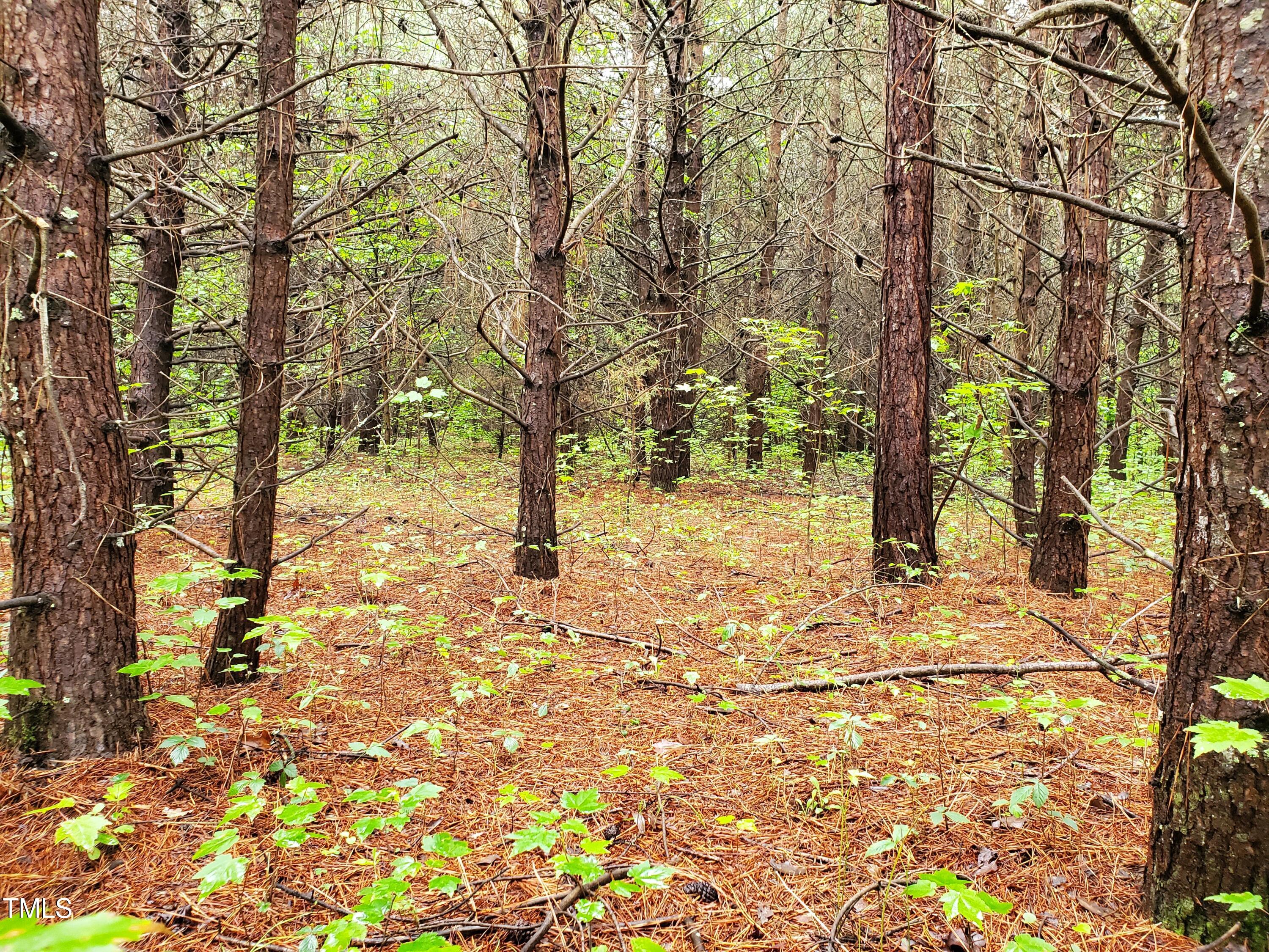 Lot 5 Molita Lane