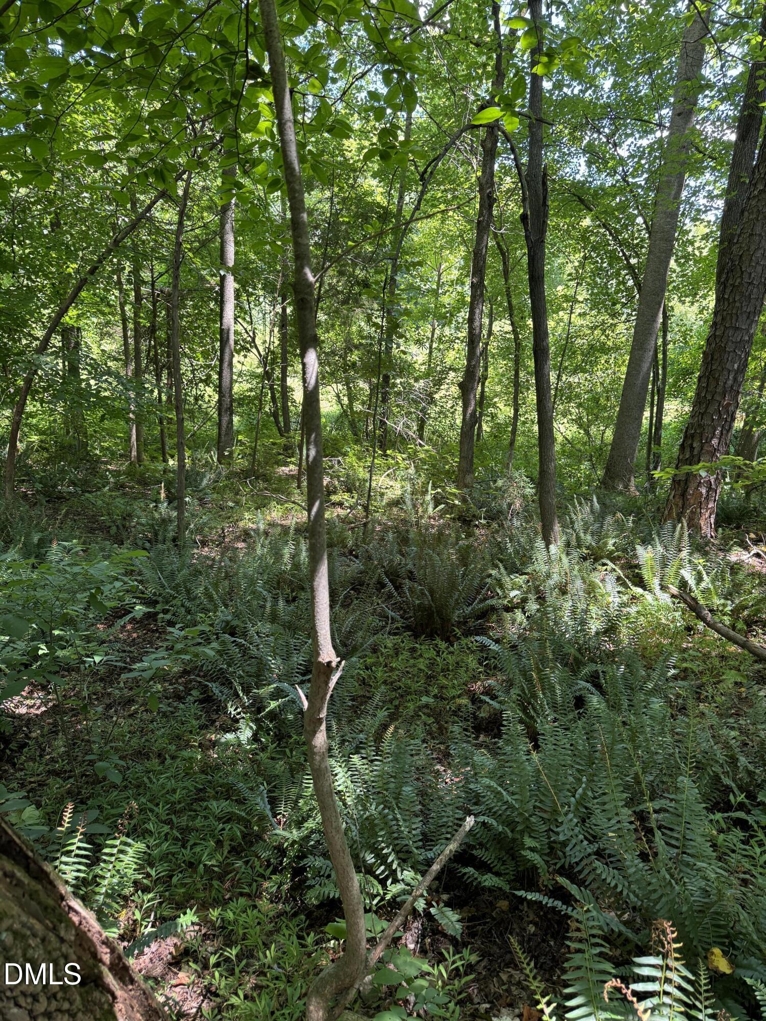 1820 Efland - Cedar Grove Road