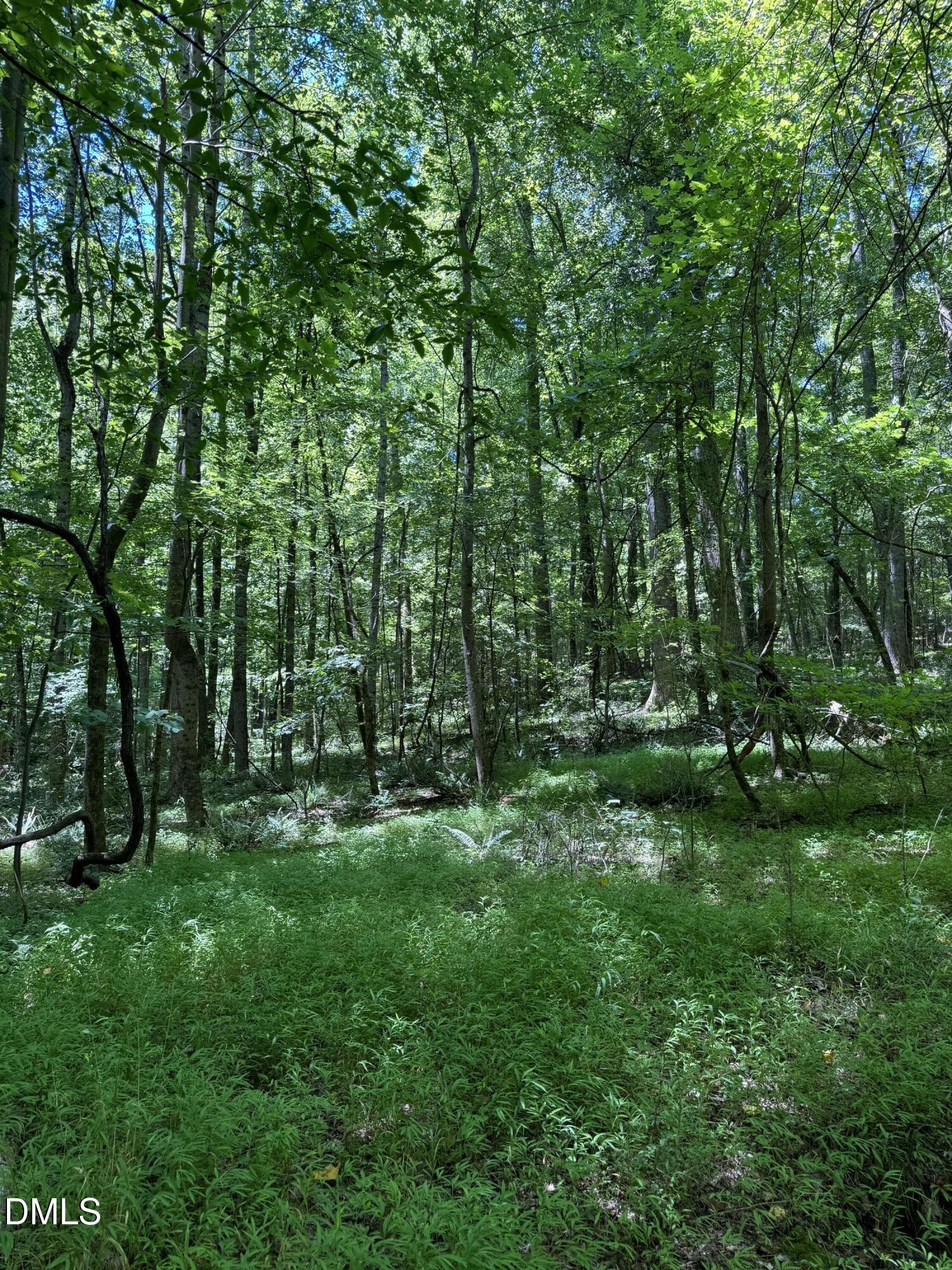 1820 Efland - Cedar Grove Road