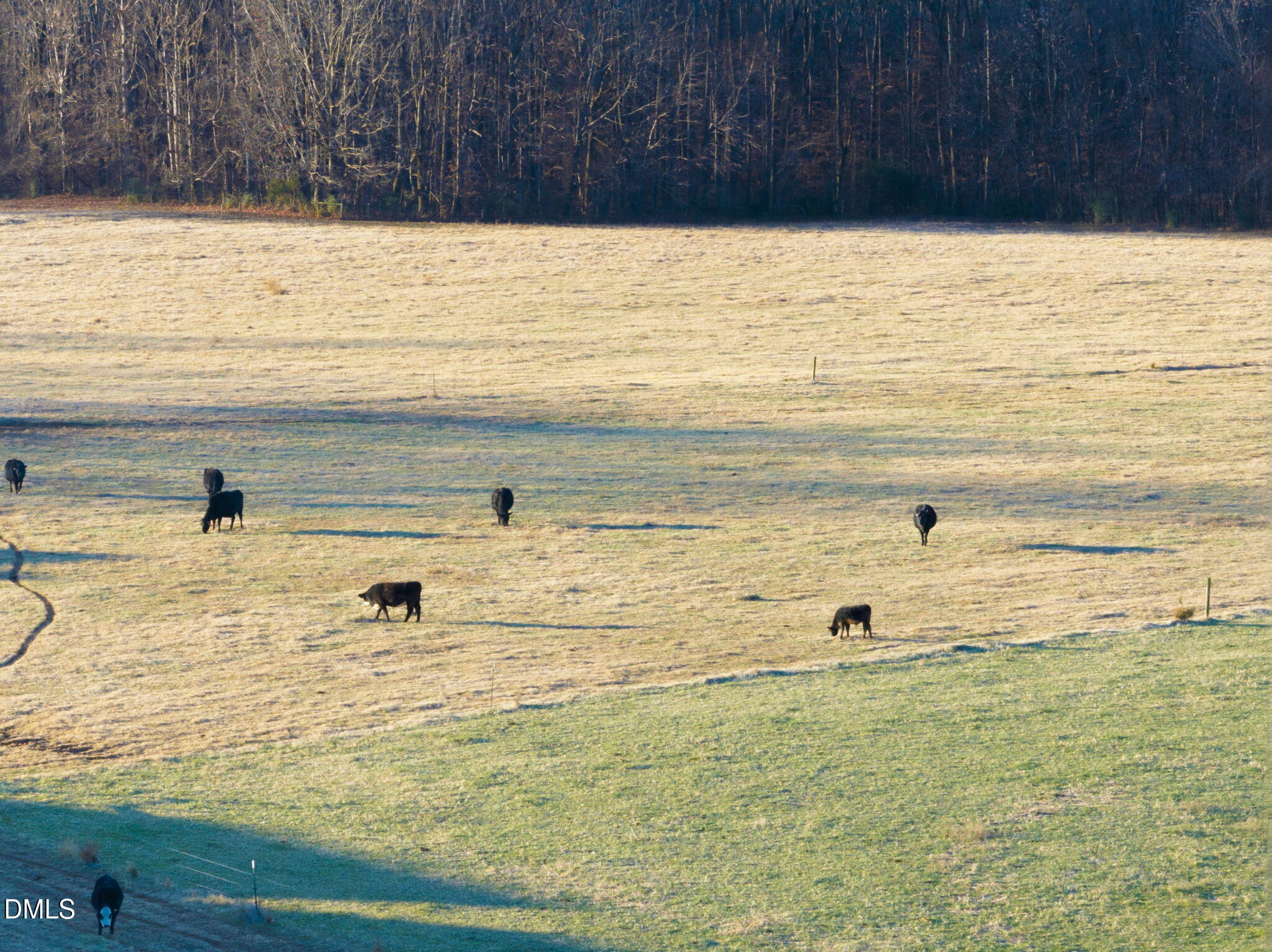 7005 Grainfield Road