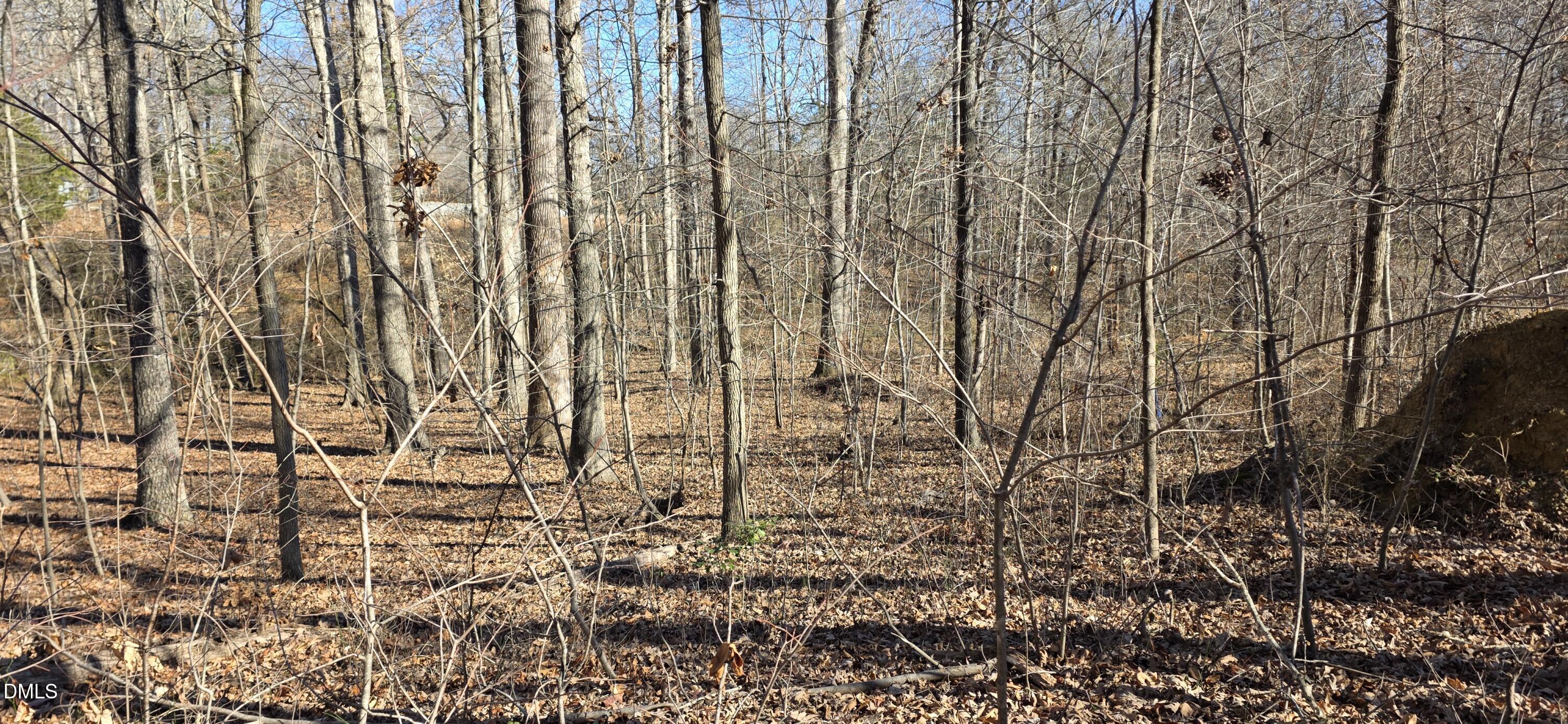 917-923 N Carolina 86