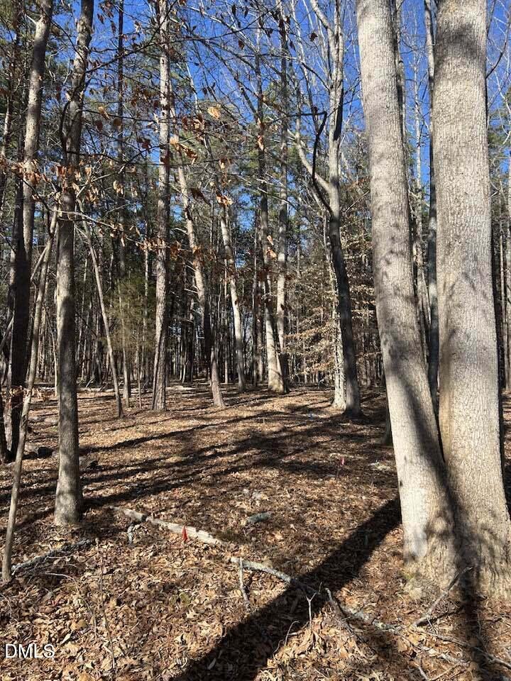 4.5 Acres Kelly Brewer Road