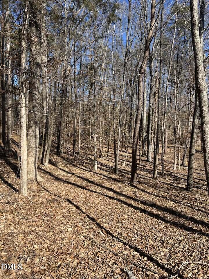 4.5 Acres Kelly Brewer Road