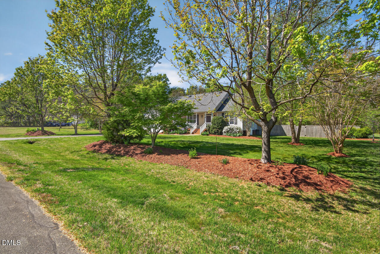 212 Climbing Aster Court