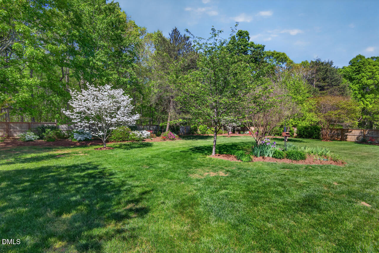 212 Climbing Aster Court
