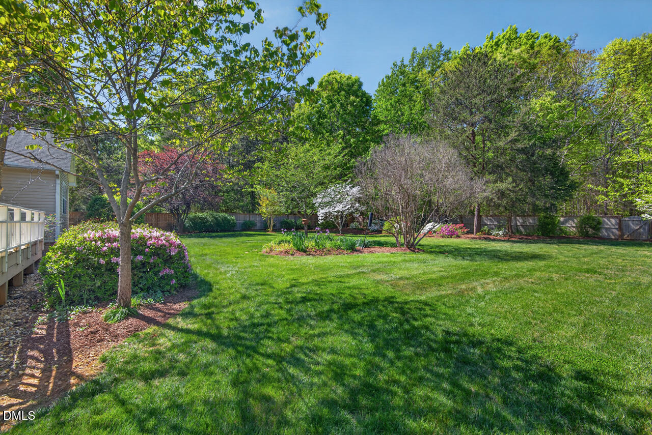 212 Climbing Aster Court