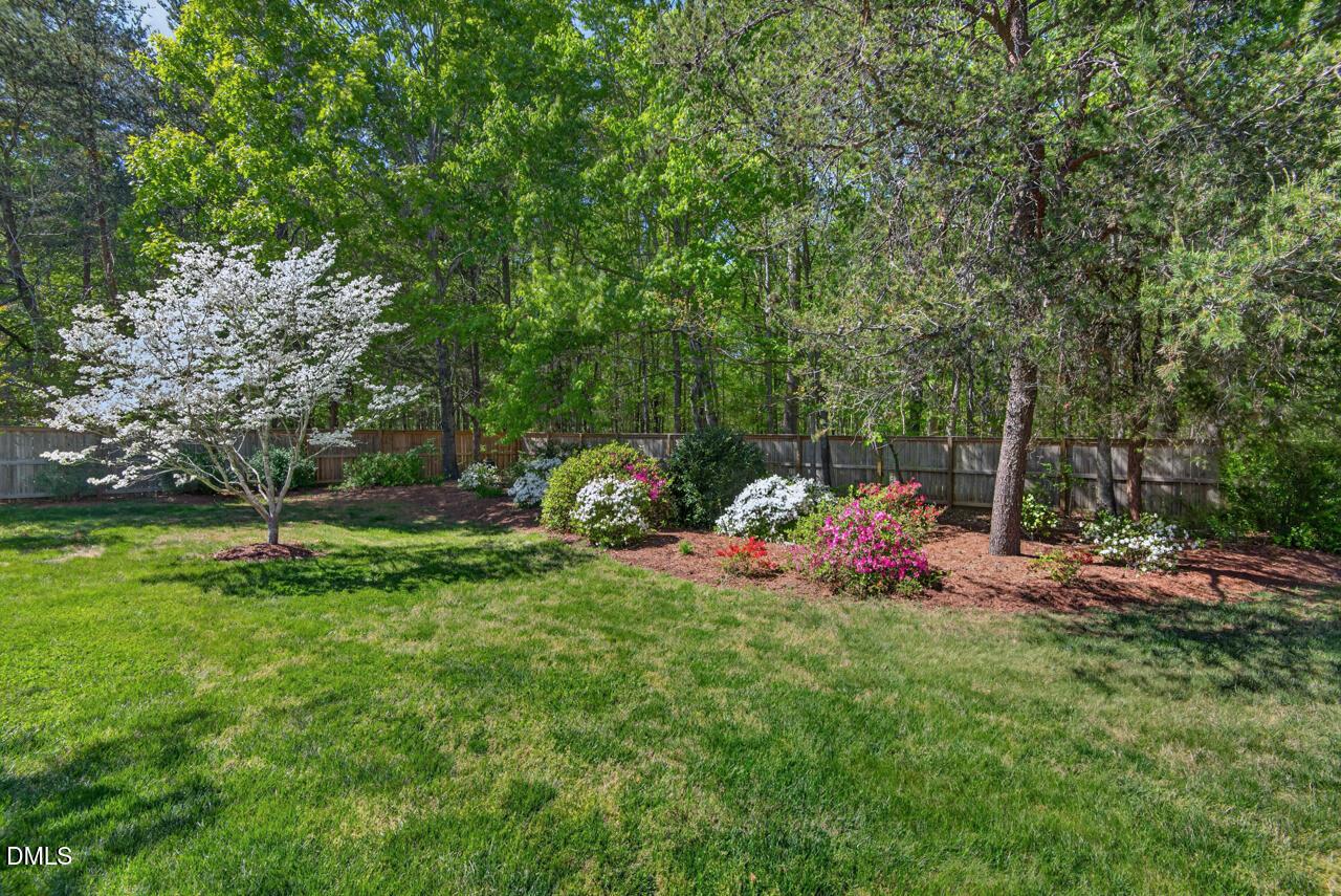 212 Climbing Aster Court