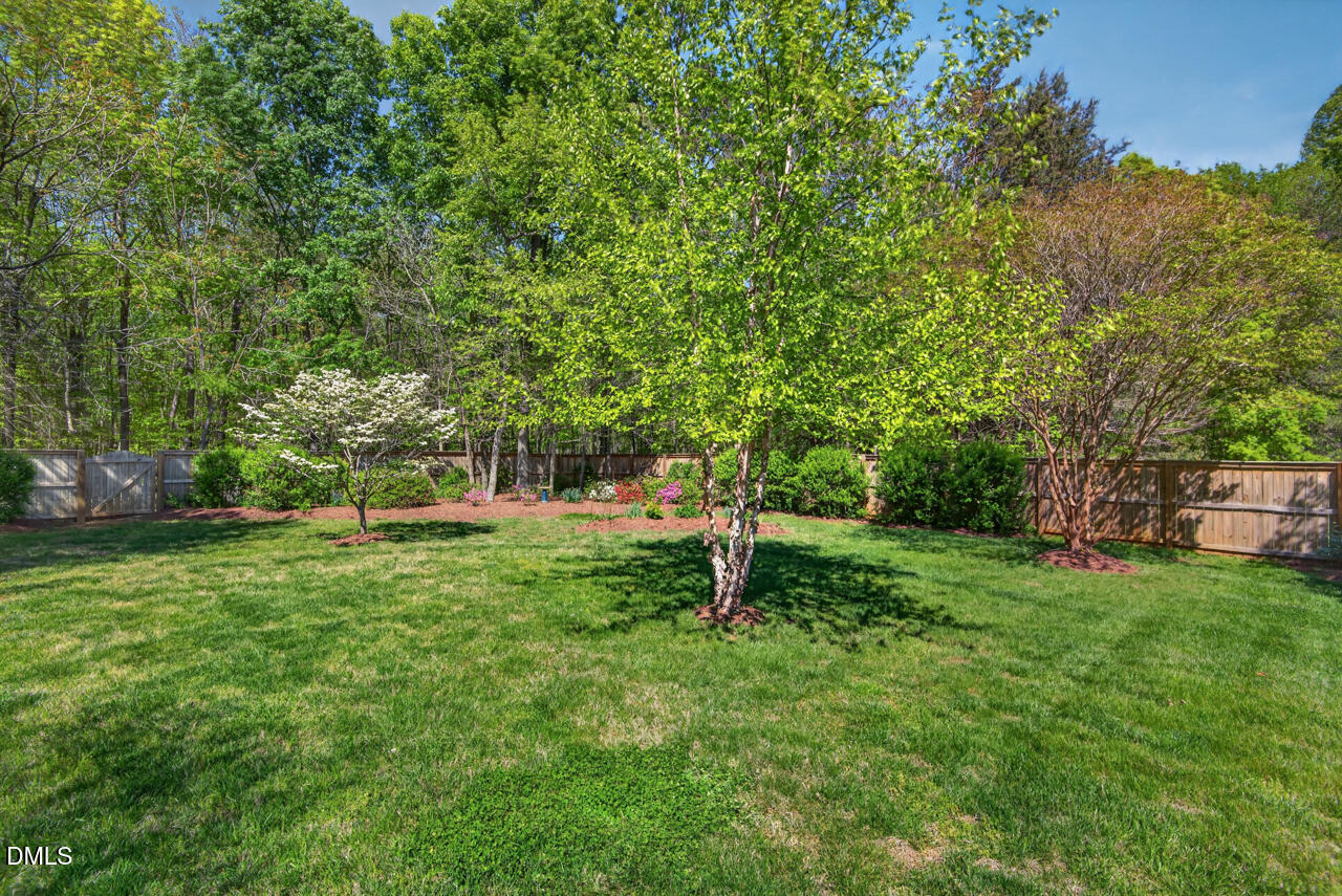 212 Climbing Aster Court