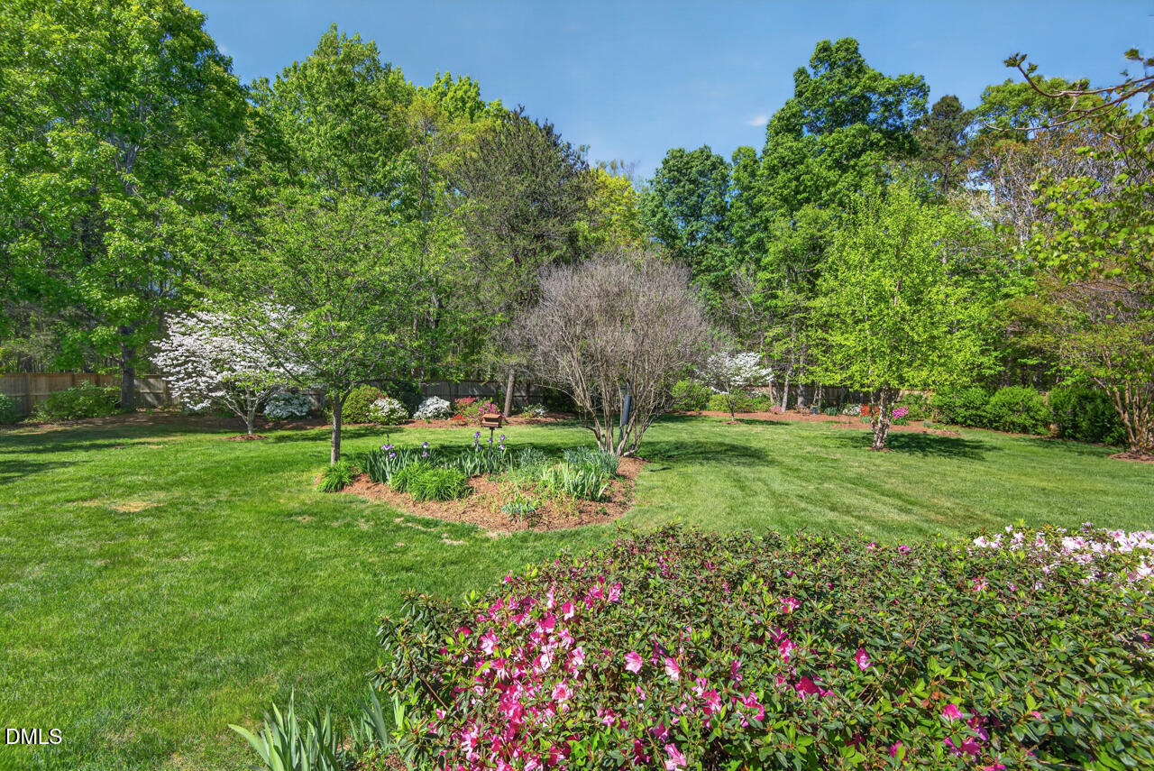 212 Climbing Aster Court