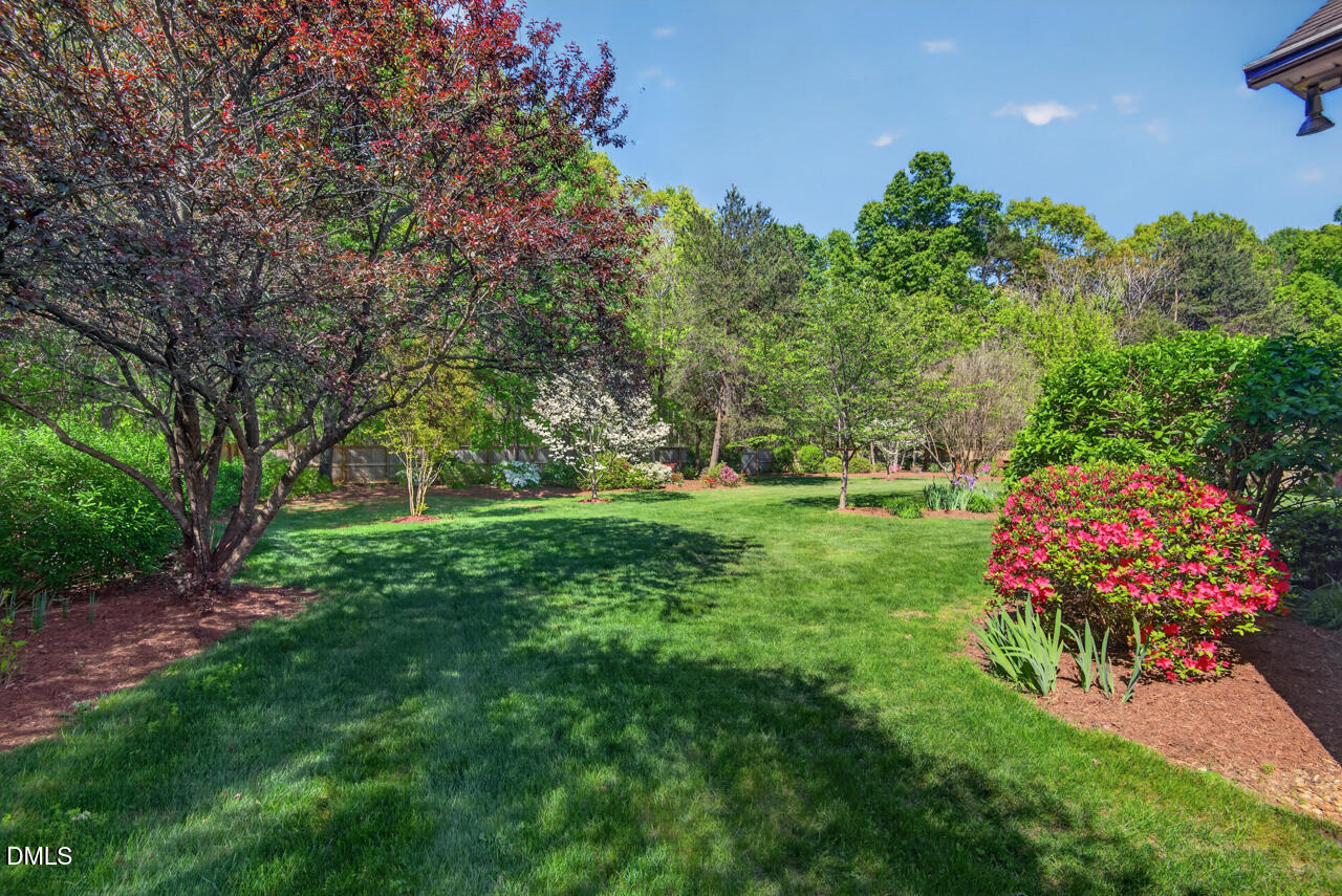 212 Climbing Aster Court
