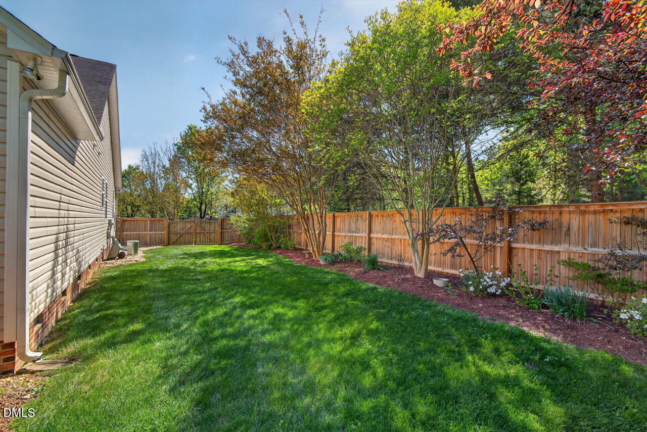 212 Climbing Aster Court