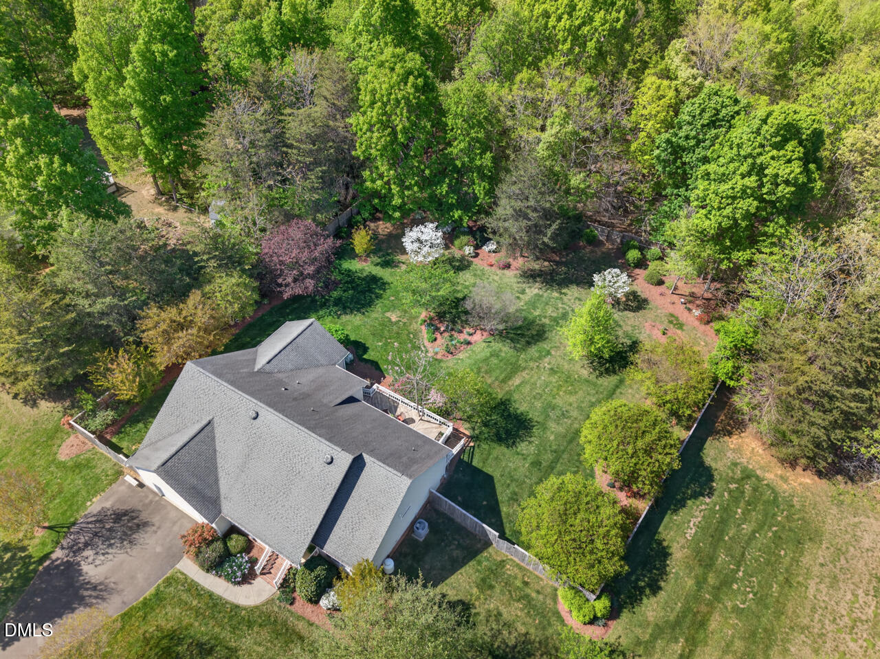 212 Climbing Aster Court