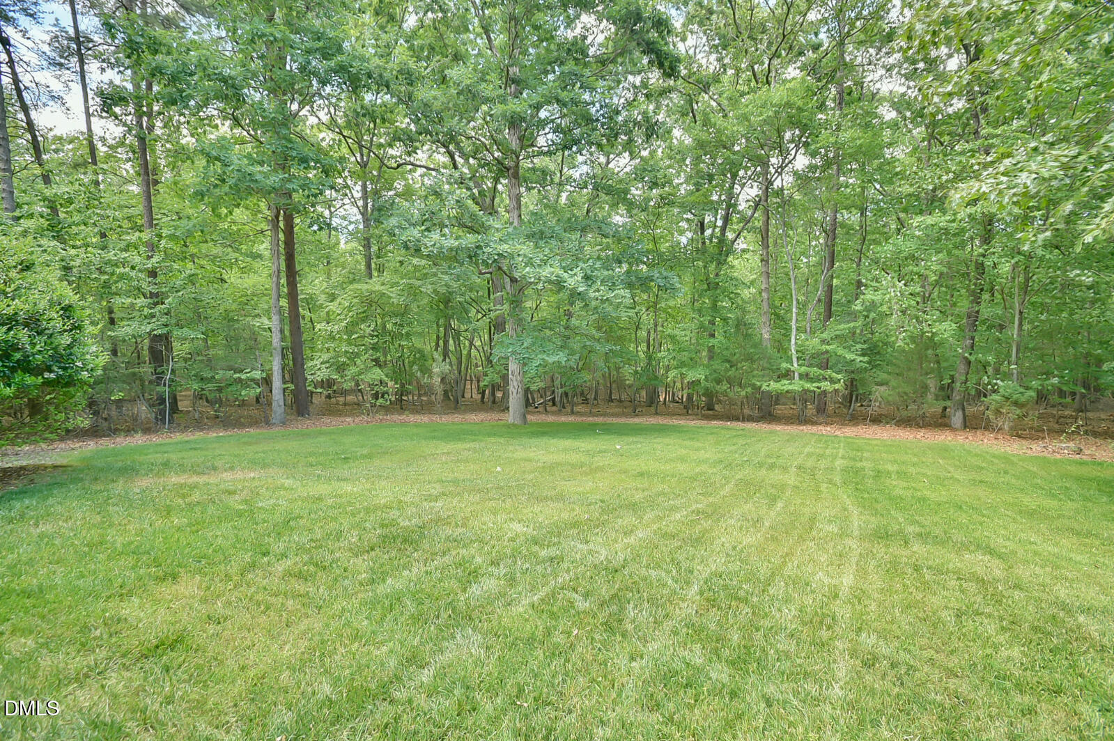 3217 Five Forks Road