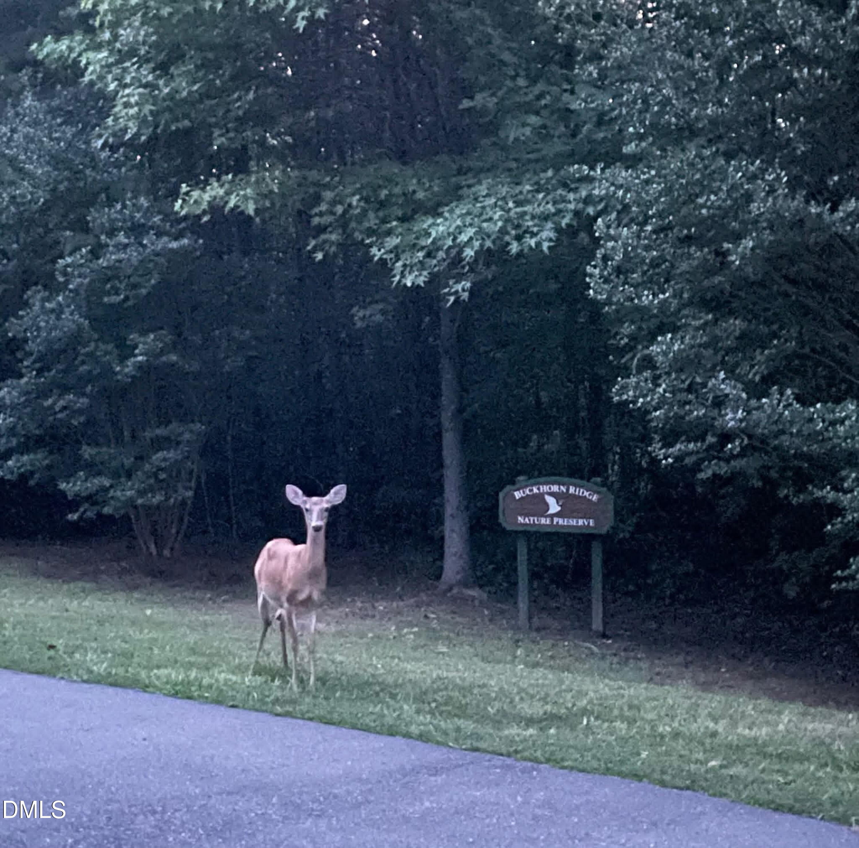 325 Buckhorn Ridge Road