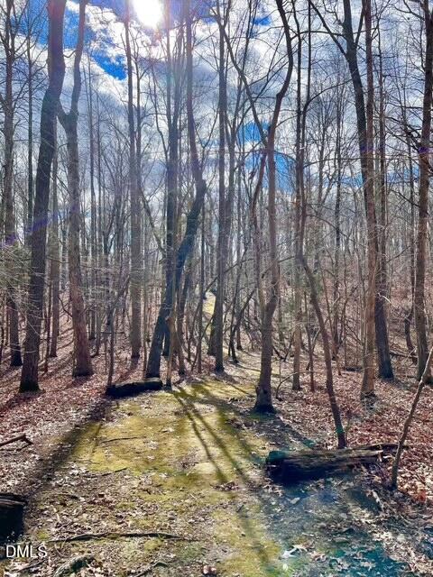 325 Buckhorn Ridge Road