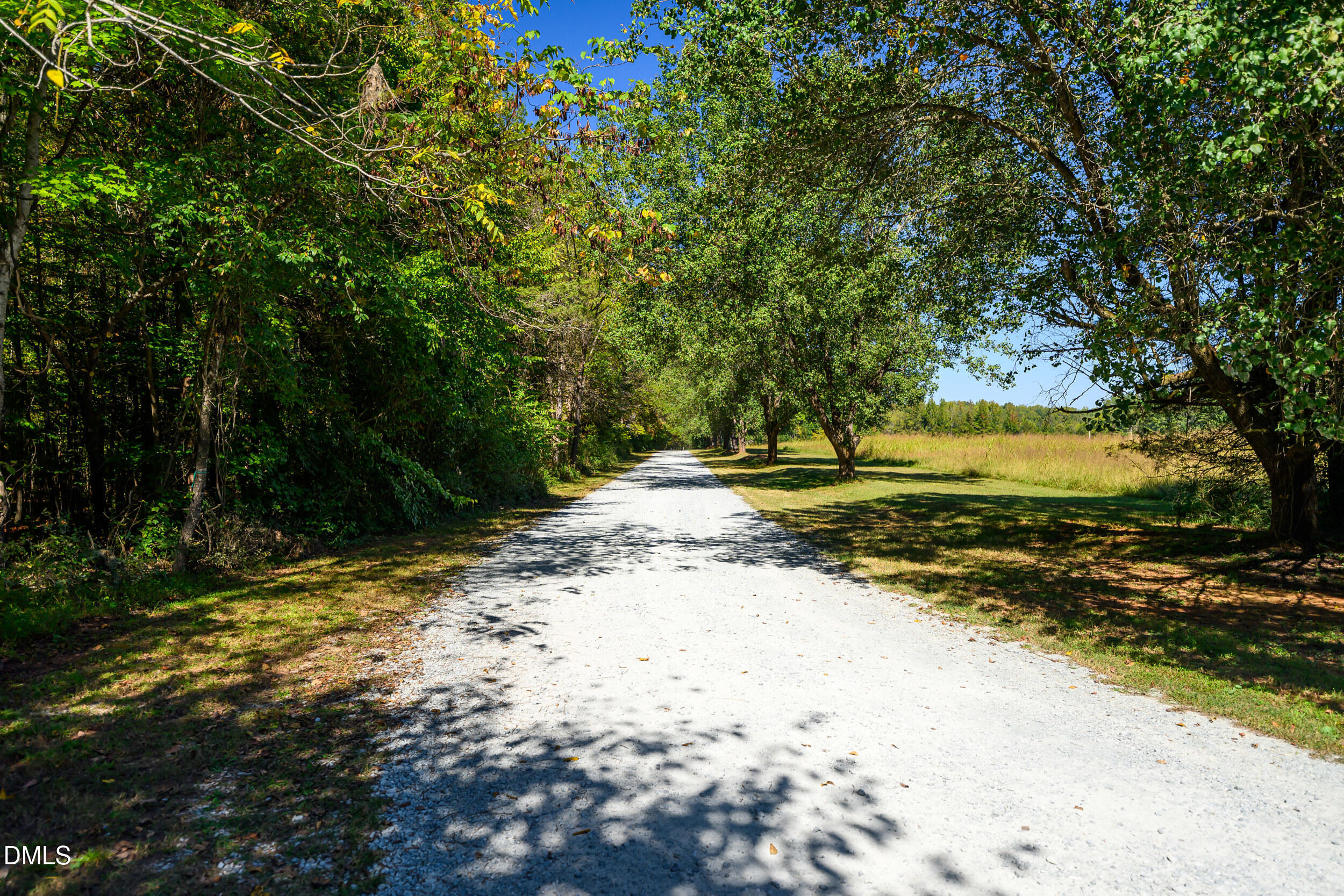 2026 Thoroughbred Lane